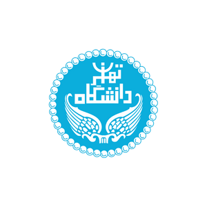 مشتری 6